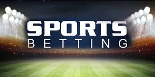 The Ultimate Guide to Dink Bet Betting Strategies The Ultimate Guide to Dink Bet Betting Strategies